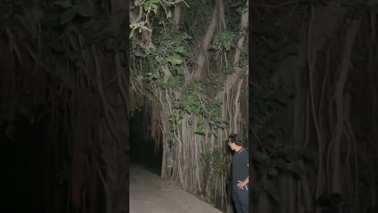 #паранормальное