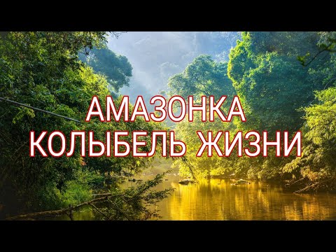 Дикая природа Амазонки. 1-я Серия. HD. Документальные фильмы. Природа.