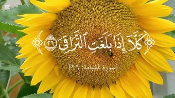 سورة الفاتحة و سورة القيامة #اكسبلور #المصحف #قرآن