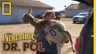 Two Seconds Too Many | The Incredible Dr. Pol