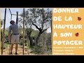 🐞 Donner de la hauteur à son potager - Bien tuteurer ses tomates # 2020