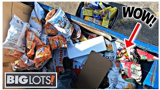 Big Lots And Ollies Dumpsters Produce The Goods, And We Hit The Local College Dumpsters!