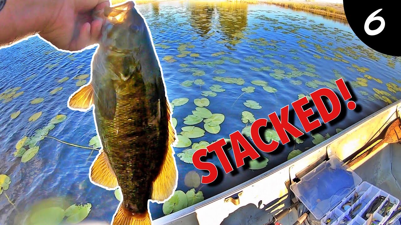 Fishing a Tiny Hidden Pond LOADED with Smallmouth Bass! (STACKED