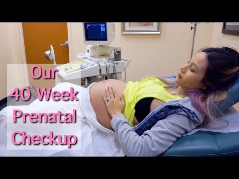 Our 40 Week Prenatal Checkup (We got exciting news!!)