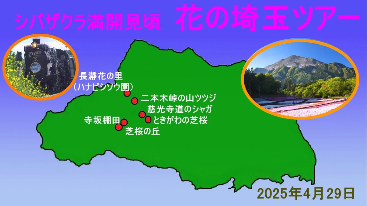 羊山公園シバザクラ・二本木峠ヤマツツジ・ときがわ芝桜・・・埼玉お花