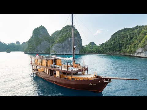 Sequoia video
