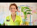 ALLIE PLANTS A HAPPY PLANT IN ALLIEVILLE! // A VIDEO TEACHING KIDS ABOUT GROWTH AND MONSTERA PLANTS!