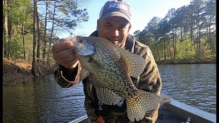 Toledo Bend's Sac-a-lait/Crappie Spawn Giving UP Big Fish This March Day (Catch*Clean*Cook)