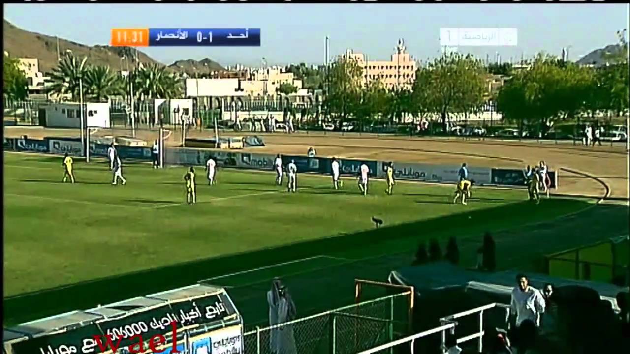 أحد و الأنصار