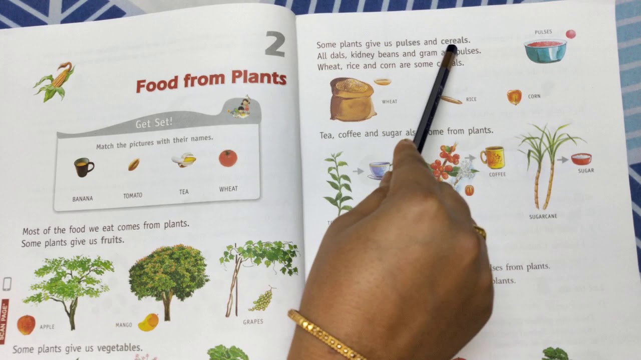 Food from Plants YouTube