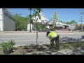 Nonprofits work to give Bangor a 'glow up'