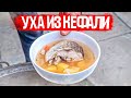 Как варили уху старые одесские рыбаки. Уха из кефали