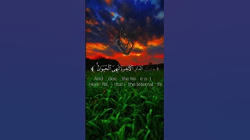 انشرو القران الكريم اخوتي في الله ❤️ #قران_كريم #اكسبلور #المصحف #راحة_نفسية #لايك
