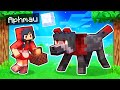 Aphmau Tricks The ALPHA WOLF In Minecraft!