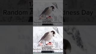17 Feb random acts of kindness day short video