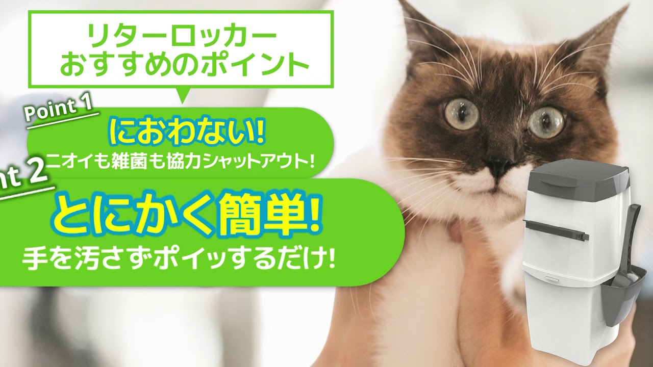 download ネコロッカー mp4 - mp3