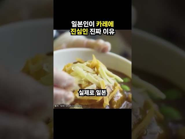 일본인이 카레에 진심인 진짜 이유 (이슈딸깍)