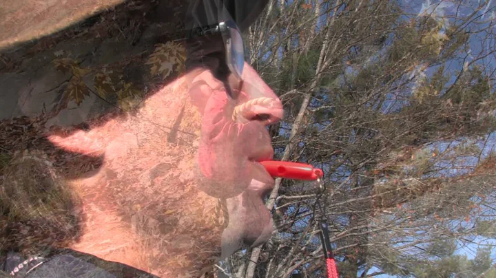 Canoeist's Checklist: The 7 Essentials | Canoeroots | Rapid Media