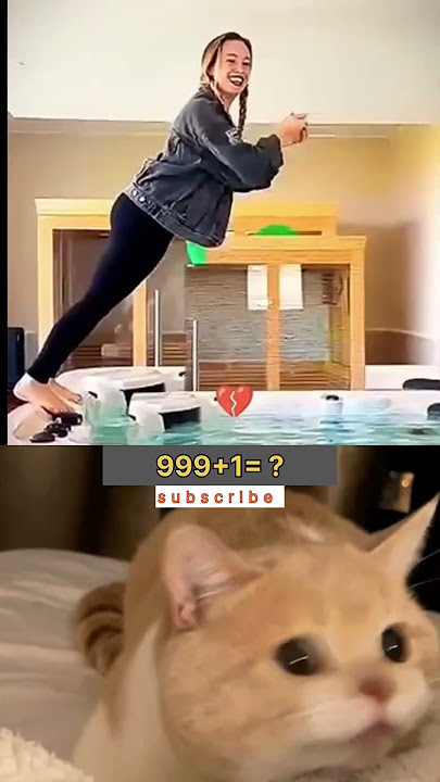 makers green screen #funny #memes #cat #greenscreen #technology