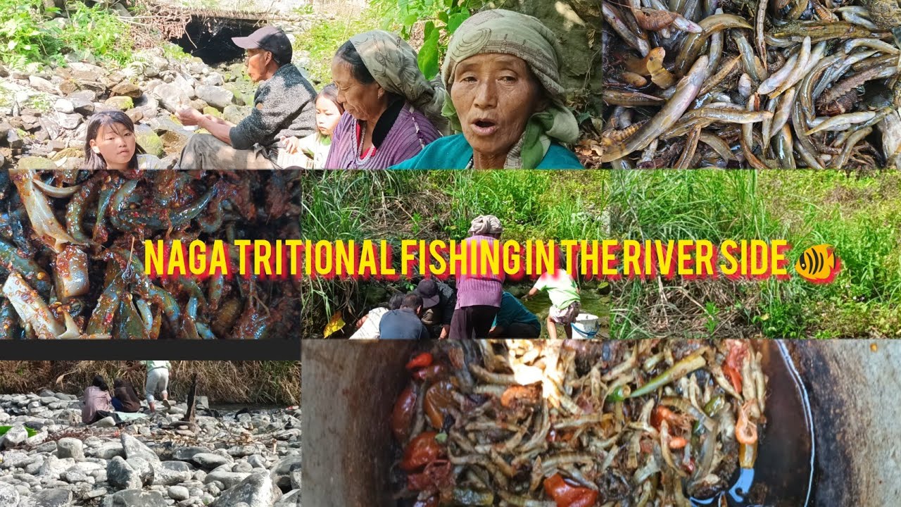 Naga Fish Naga Traditional Fishing in The River side🐠🐟 - YouTube