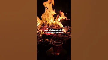 من لا يودك لا توده وترجيه ارفع مقامك يا عزيز المقامي محمد النويرة بدون موسيقى 