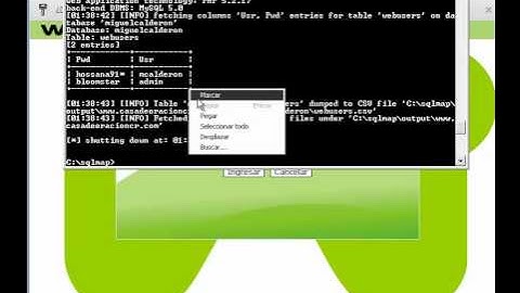 Inyeccion SQL en español