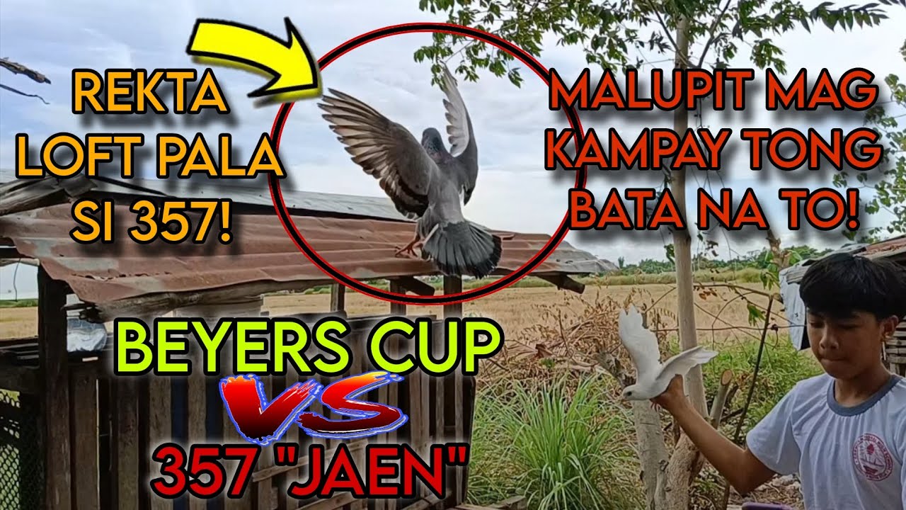 BUMANGA SI 357 SA LEGEND NG ALIAGA!! | BIBICLAT VS STA RITA | KARERA NG KALAPATI