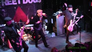 12/12/10: Street Dogs @Ottobar - Punk Rock and Roll