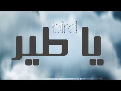 أغنية ياطيـر غناء صوت الشرق كلمات سعد رجب المغني ألحان الفنان رضوان المغني