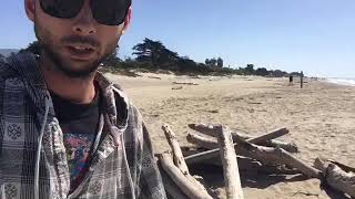 How to build a beach shack out of driftwood.
