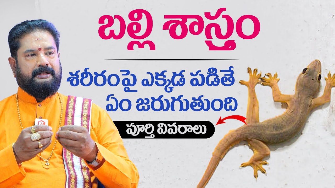 బల్లి శరీరంపై ఎక్కడ పడితే ఏం జరుగుతుంది: What Happens When a Lizard Fall On Your Body |Balli Sastram