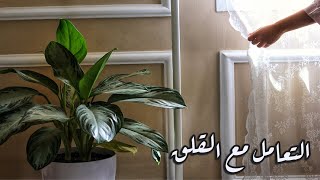 كيف اخفف من تأثير القلق اليومي على حياتي؟