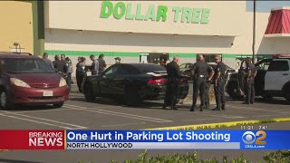 Supermarket Owner Shoots Alleged Gang Member In North Hollywood ‘Gun Battle’