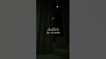 تلاوة خاشعة اكتب شيء تؤجر عليه #اسلام_صبحي #لايك #اكسبلور #like #partage