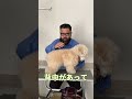 犬の抱っこの仕方