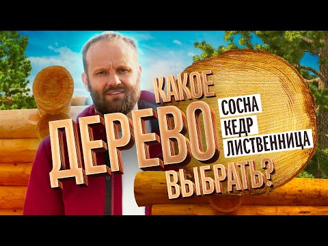 Кедр, Лиственница и Сосна. Из какой Породы Дерева строить Дом и Баню?