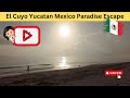 El Cuyo Yucatan A Place To Escape Rat Race #2023  #travel #mexico 🏖️👙🐚🩴