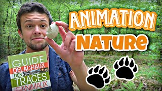 Idées de jeux et d'activités nature, thème trace et indice 🦌  [animateur nature, BTS GPN]