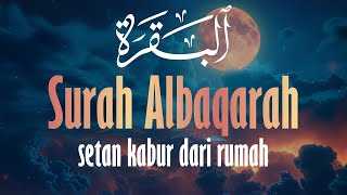 SURAH ALBAQARA | Setan kabur Dari Rumah dan untuk Menyembuhkan Sihir  Penenang Hati dan Pikiran