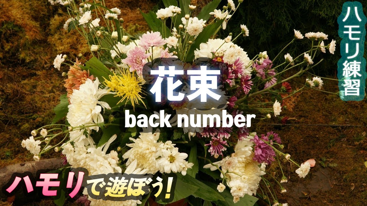 Back Number 花束 ハモリ ハモリ練習用 花束 Back Number 花束 Cover 花束 カラオケに役立つ Youtube