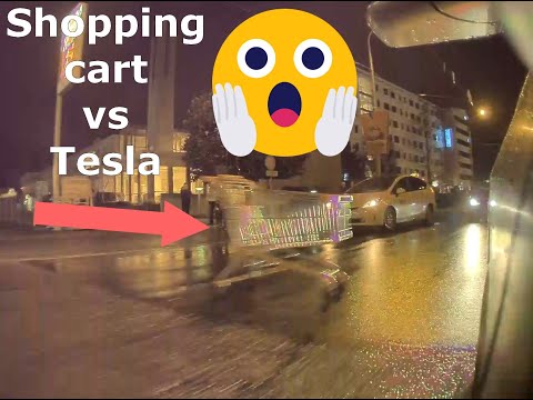 Shopping cart vs Tesla model 3