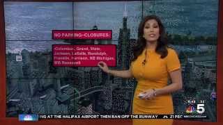 Marley Kayden 2015/03/29 NBC Chicago HD