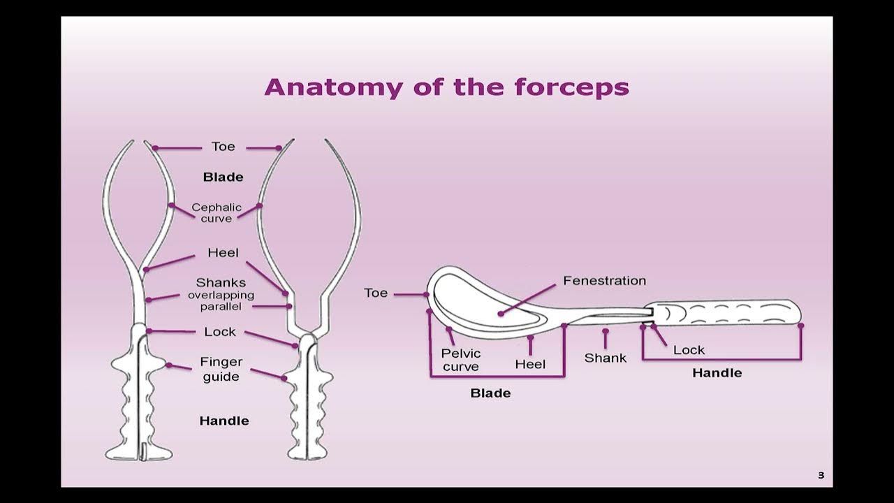 forceps delivery full explain YouTube