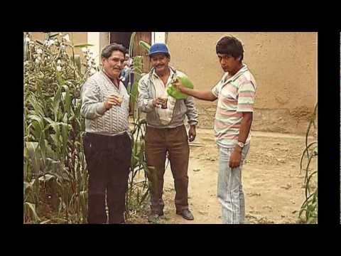 arbieto 2011 juan escobar