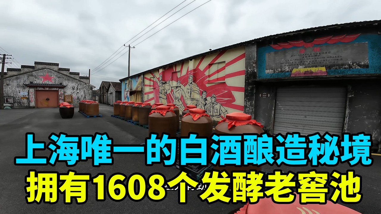 探秘上海奉贤四团镇的神仙酒厂  这里可是上海唯一的白酒酿造秘境哦～推开 1958 年建厂时的老木门，就能闻到 1608 个老窖池扑面而来的醇厚酒香，瞬间让人沉醉 作为上海市非遗项目 老五甑”古法酿酒