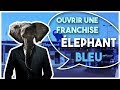 Ouvrir une franchise de lavage auto elphant bleu