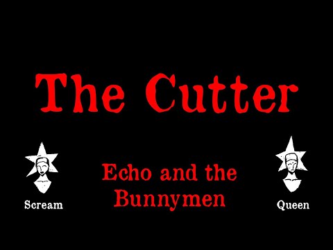 Echo and the Bunnymen - The Cutter - Karaoke