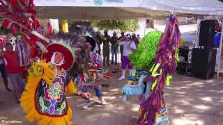 MARACATU PIABA DE OURO - Helder Vasconcelos e Francisco Vasconcelos Resimi