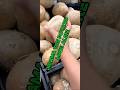 The Jicama Secret