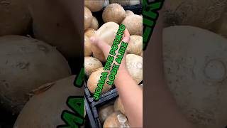 The Jicama Secret